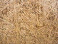 Detail of a round bale of straw