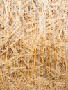 Detail of a round bale of straw