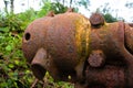 detail of rusty and discarded farm machinery laying in a field