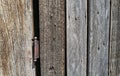 Detail of a rusty hinge on the door of an abandoned wood building Royalty Free Stock Photo