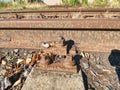 Detail of rusty screws and nut on old railroad. Wooden oiled tie Royalty Free Stock Photo