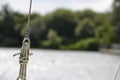 Detail of sailing boat`s rigging: tied rope, metal hoop and side stay. Sunny lake in background. Royalty Free Stock Photo