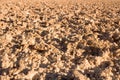 Detail of the salt crust in the Salar de Atacama in the Atacama Desert Royalty Free Stock Photo