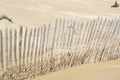 Detail of sand dunes texture on North Sea coast Royalty Free Stock Photo
