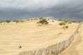 Detail of sand dunes texture on North Sea coast Royalty Free Stock Photo