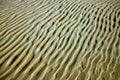 Detail of sand structure Royalty Free Stock Photo
