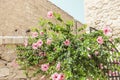 Detail from Santa Barbara Castle, Alicante Spain Royalty Free Stock Photo