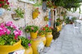 Detail of Santa Margherita square, Marzamemi, sicily