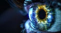Detail of a scanned human iris, binary code passing through the eye Royalty Free Stock Photo