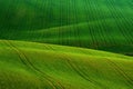 Detail scenery at South Moravian field during spring, Czech republic.