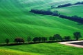 Detail scenery at South Moravian field during spring, Czech republic.