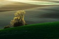 Detail scenery at South Moravian field during spring, Czech republic.