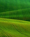 Detail scenery at South Moravian field during spring, Czech republic.