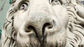 Detail, sculpture of a lion in the Cathedral of San Lorenzo cathedral of Genoa, cathedral of San Lorenzo, around the