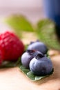 Detail of several blue blueberries on green leaf Royalty Free Stock Photo