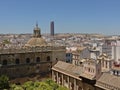 Detail of Seville cathedral, with Patio de los Naranjos , inner courtyard with trees