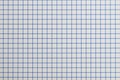 Detail of a sheet of squared paper Royalty Free Stock Photo