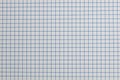 Detail of a sheet of squared paper Royalty Free Stock Photo