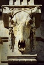 10/20/2019, Detail shot of a bony head of a cattle carved with stone with horns on the facade of the historic old Stadtmetzg in