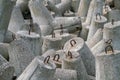 Detail shot of concrete tetrapod dolosse breakwater with steel eyes protecting the port of Hel, Poland from ocean tides Royalty Free Stock Photo