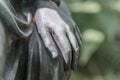 Detail shot of a female hand of a bronze statue of a woman in a park, Germany Royalty Free Stock Photo