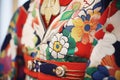 detail shot of intricate kabuki costume embroidery Royalty Free Stock Photo