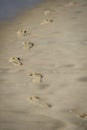 Man footprints in the sand on a beach Royalty Free Stock Photo