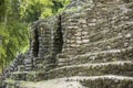 Detail shot of the Mayan temple of Dzibanche in Mexico with overgrowth