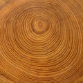 Detail shot of a tree disc made of brown acacia wood with annual rings