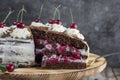 Detail on a Slice of a Black forest cake, or traditional austria schwarzwald cake from dark chocolate and sour cherries Royalty Free Stock Photo