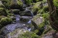 Detail of a small waterfall Royalty Free Stock Photo