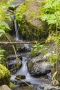 Detail of a small waterfall Royalty Free Stock Photo