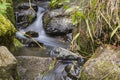 Detail of a small waterfall Royalty Free Stock Photo