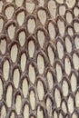 Detail of snake skin belt. A close up of a belt of the most venomous snake King cobra on Bali island in Indonesia. Product from Royalty Free Stock Photo