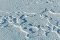 Detail of snow and freeze texture formed by wind