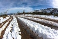 Detail Snow Tracks Mud Road Royalty Free Stock Photo