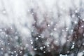 Detail of softly falling snowflakes. Royalty Free Stock Photo
