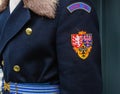 Detail of soldier winter uniform protecting Prague Castle. Czech