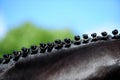 Detail of some plaits Royalty Free Stock Photo