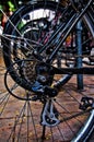 Detail of some sprockets of the rear wheel of the bicycle