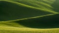 Detail of South Moravian field, Czech republic.