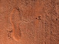 Detail with a sport shoe footprint on a tennis clay court Royalty Free Stock Photo