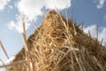 Detail stack straw at field after harvest