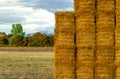 detail of stacked straw alpacas in a mowed field at dusk on a stormy day Royalty Free Stock Photo