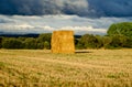 detail of stacked straw alpacas in a mowed field at sunset on a stormy day Royalty Free Stock Photo