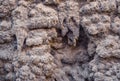 Detail of stalactite wall, Prague