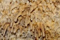 Detail of stalactites of Crystal Cave in Grand Cayman