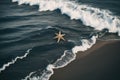 Detail of a starfish on the shore