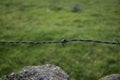Detail steel barbed wire fence in the field with green grass background and stone wall base horizontal Royalty Free Stock Photo