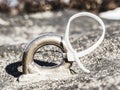 Detail of steel bolt anchor eye in rock Royalty Free Stock Photo